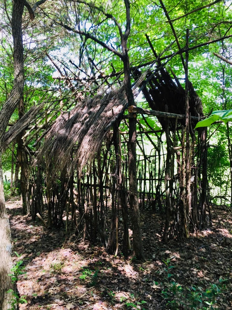 Natural fort structure built in the forest