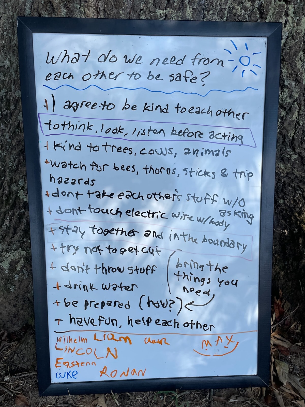 Whiteboard propped against a tree showing student-written group agreements: What do we need from each other to be safe?