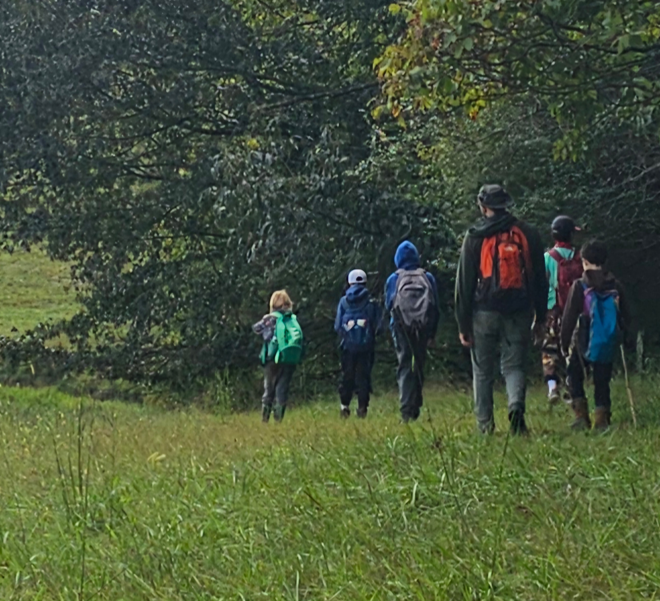 Group of students and a guide heading into the tree line across a green meadow